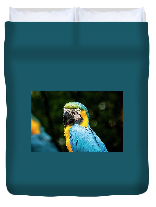 Birds Duvet Cover featuring the photograph Parrot by Daniel Murphy