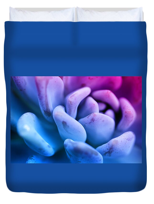 Orchid Duvet Cover featuring the photograph Pastel Agave by Lawrence Knutsson