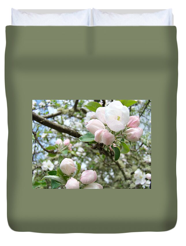 Apple Duvet Cover featuring the photograph Pastel Blossoming Apple Blossom Tree art prints Baslee by Patti Baslee