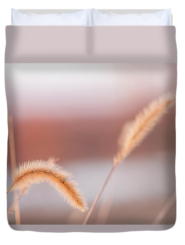 Weeds Duvet Cover featuring the photograph Pastel Sunset by Holly Ross