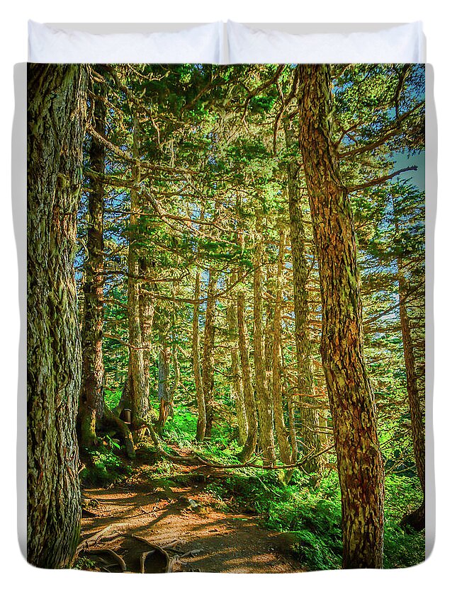 Landscape Duvet Cover featuring the photograph Path in the Trees by Jason Brooks