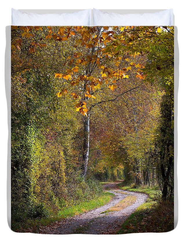 Autumn Duvet Cover featuring the photograph Path Through Autumn Forest by Andreas Berthold