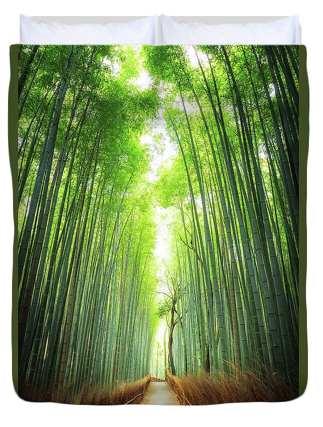 Bamboo Duvet Cover featuring the photograph Pathway through the bamboo grove Kyoto by Jane Rix