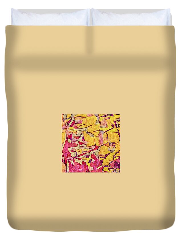 Digital Abstract Duvet Cover featuring the photograph Pattern I by William Wyckoff
