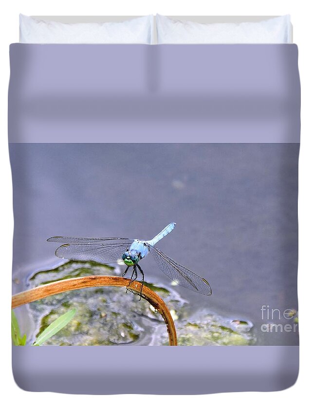 Blue Duvet Cover featuring the photograph Pause by Beth Williams