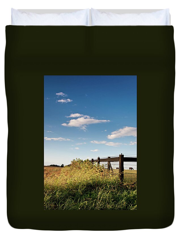 Grazing Horses Duvet Cover featuring the photograph Peaceful Grazing by David Sutton