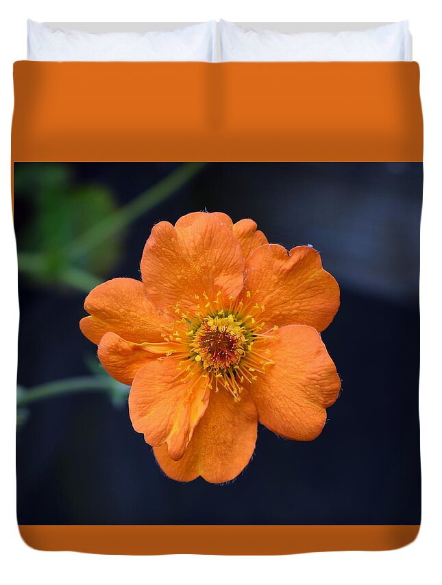 Flowers Duvet Cover featuring the photograph Peachy Geum by Jimmy Chuck Smith