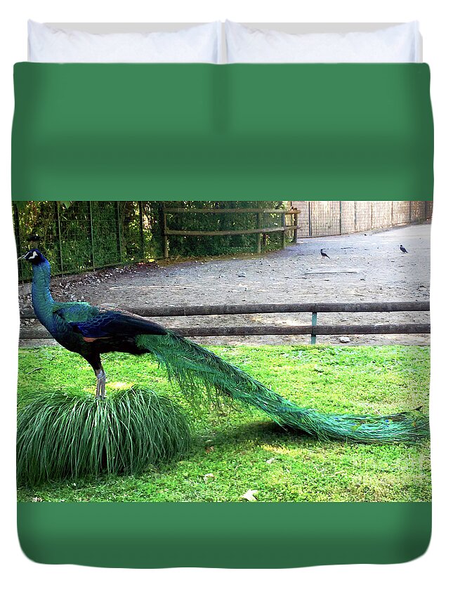 Park Duvet Cover featuring the photograph Peacock by Jasna Dragun