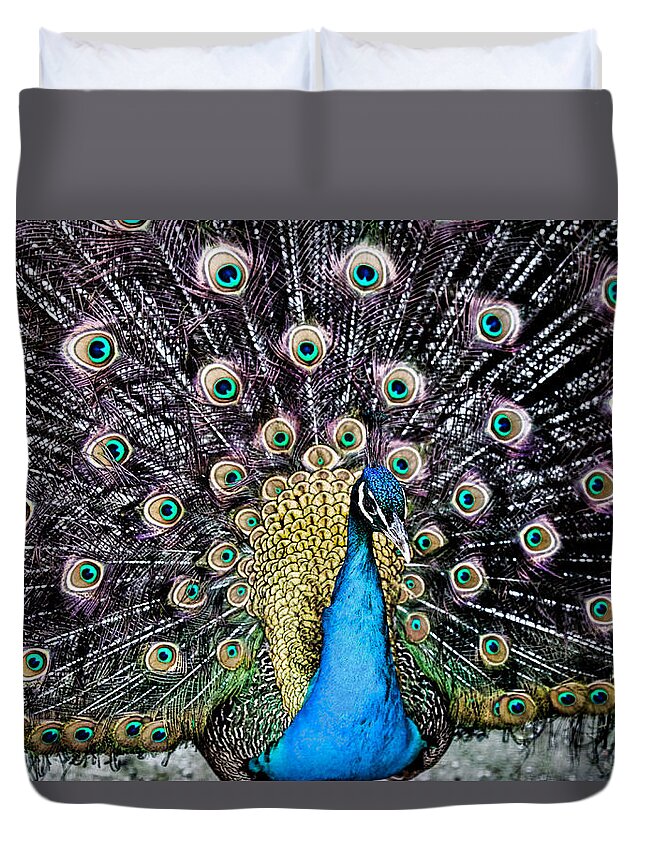Peacock Duvet Cover featuring the digital art Peacock by JGracey Stinson
