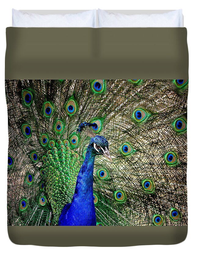 Cosley Duvet Cover featuring the photograph Peacock Open Tail by Joni Eskridge