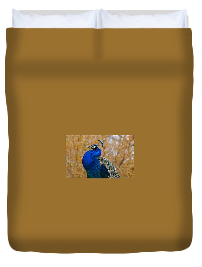 Peacock Duvet Cover featuring the photograph Peacock Pose by Mindy Musick King