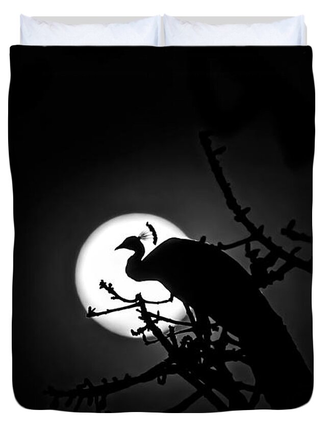 Peacock Duvet Cover featuring the photograph Peacock roosting against full moon. by Ramabhadran Thirupattur