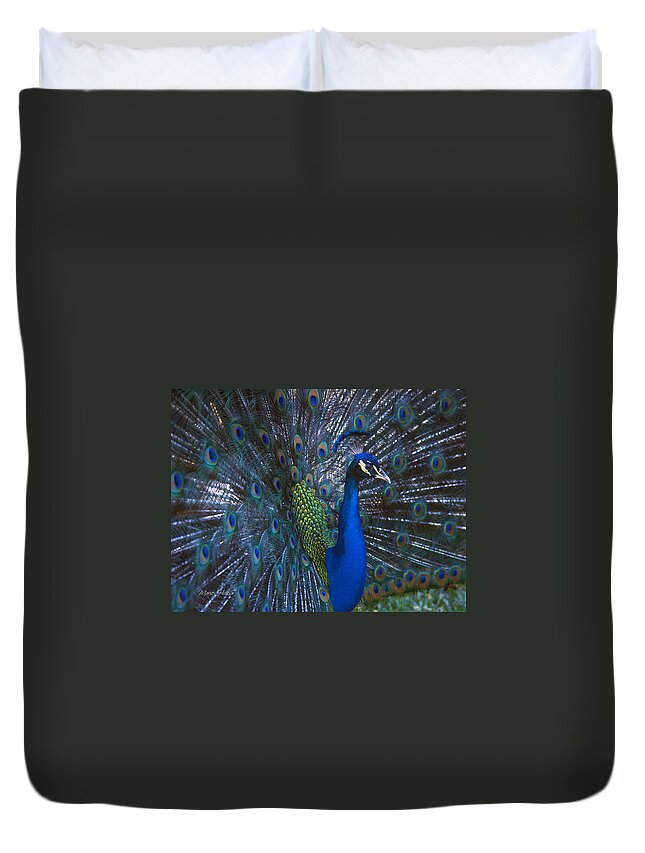 Peacock Duvet Cover featuring the photograph Peacock Splendor by Marie Hicks