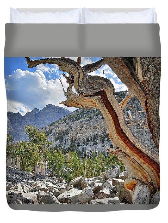 Great Basin National Park Duvet Cover featuring the photograph Peak Bristlecone Pine by Ray Mathis