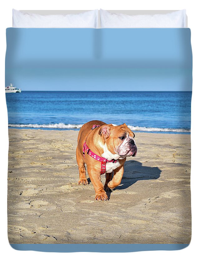 Ocean Duvet Cover featuring the photograph Peanut on the Beach by Nicole Lloyd