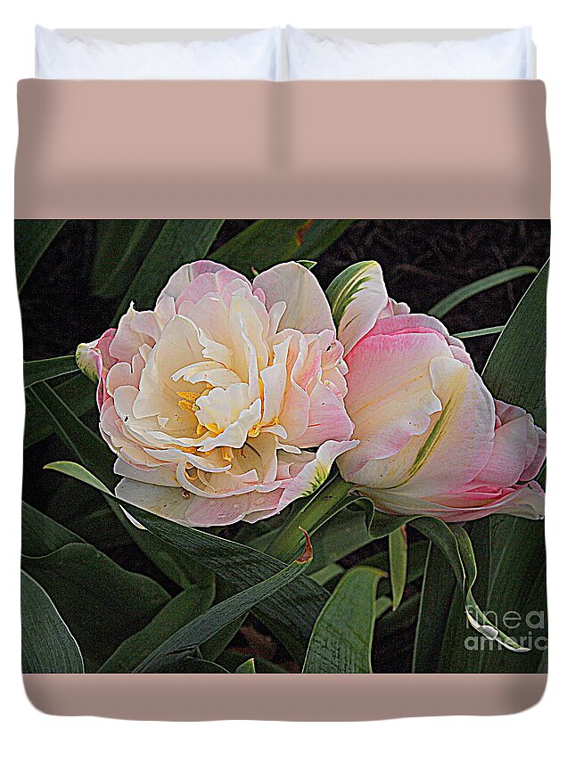 Photography Duvet Cover featuring the photograph Peony Tulip Duet by Nancy Kane Chapman