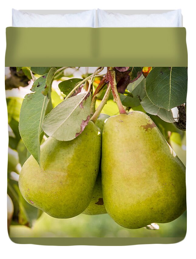 Colorado Duvet Cover featuring the photograph Pears in the Tree by Teri Virbickis