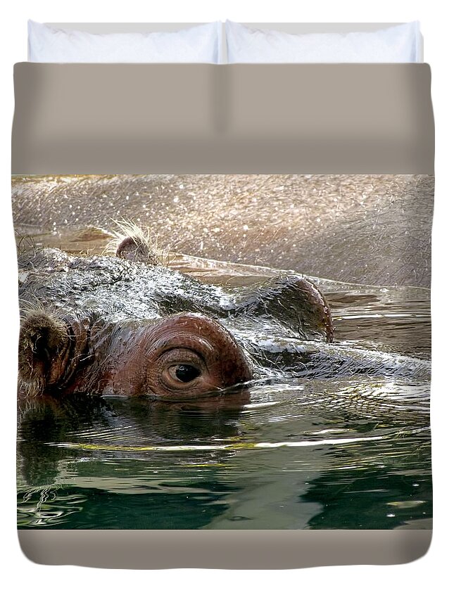 Hippo Duvet Cover featuring the photograph Peek-a-Boo by Jennifer Wheatley Wolf