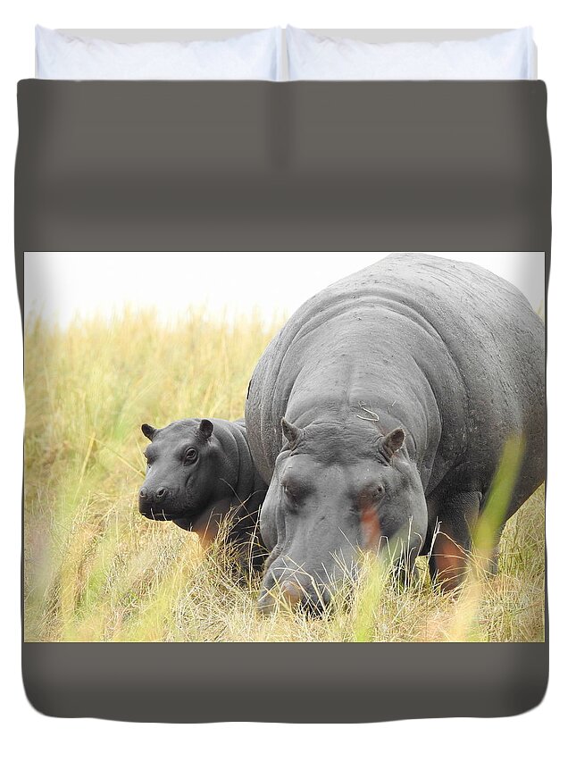 Africa Duvet Cover featuring the photograph Peek by Betty-Anne McDonald
