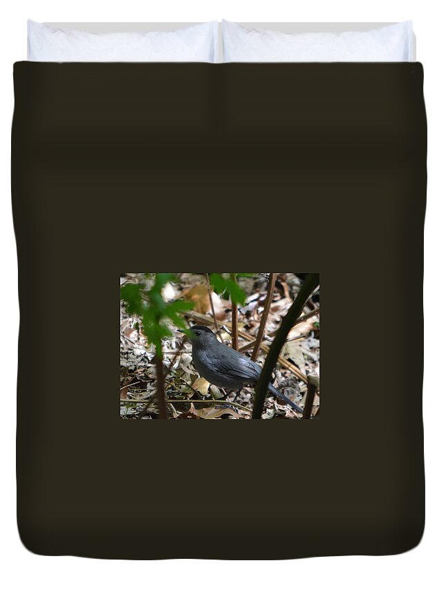 Bird Duvet Cover featuring the photograph Peekaboo by Dani McEvoy