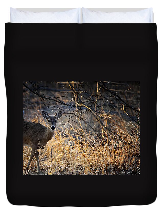 Whitetail Deer Duvet Cover featuring the photograph Peeking Whitetail Doe by Michael Dougherty