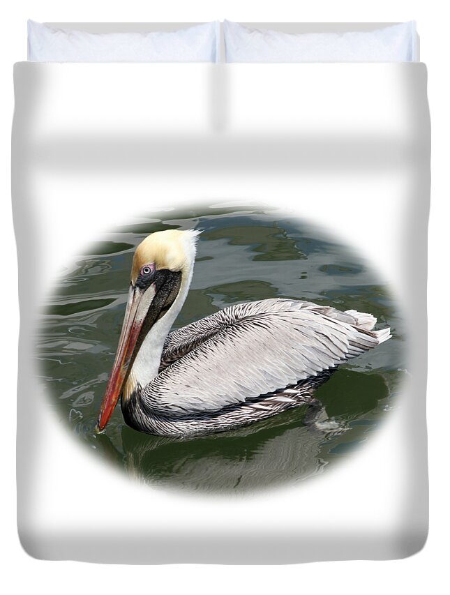 Bird Duvet Cover featuring the photograph Pelican 3 Vignette by Bob Slitzan