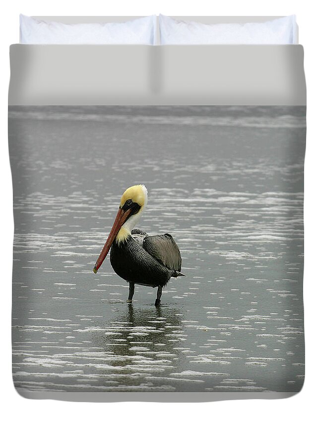 Pelican In The Water Duvet Cover featuring the photograph Pelican in the Water by Anthony Jones