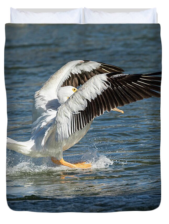 American White Pelican Duvet Cover featuring the photograph Pelican Landing 2016 by Thomas Young