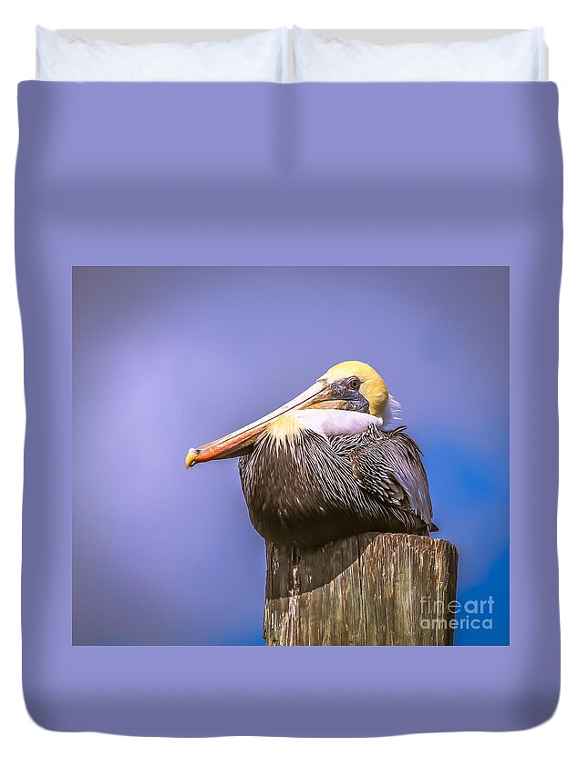Wildlife Duvet Cover featuring the photograph Pelican on break by Claudia M Photography
