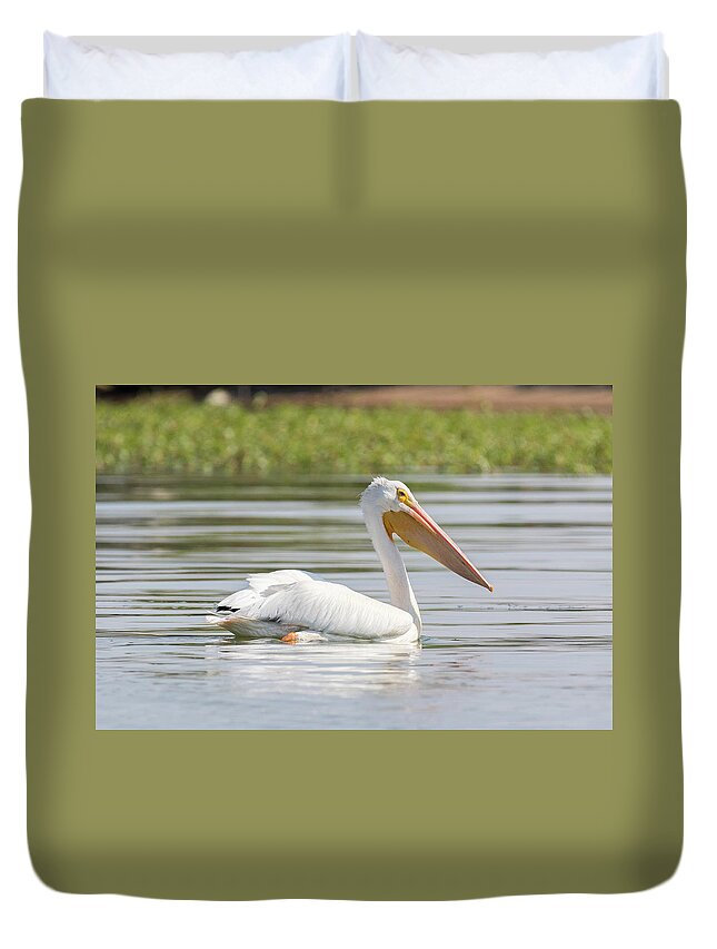 Pelican Duvet Cover featuring the photograph Pelican Out For a Swim by Tony Hake