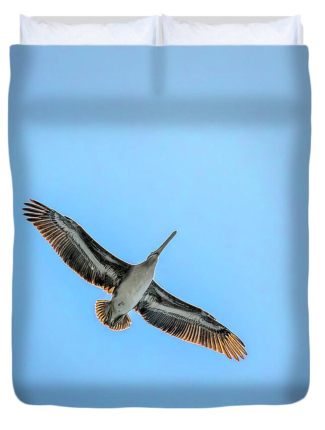 Brown Pelican Duvet Cover featuring the photograph Pelican Overhead by Endre Balogh