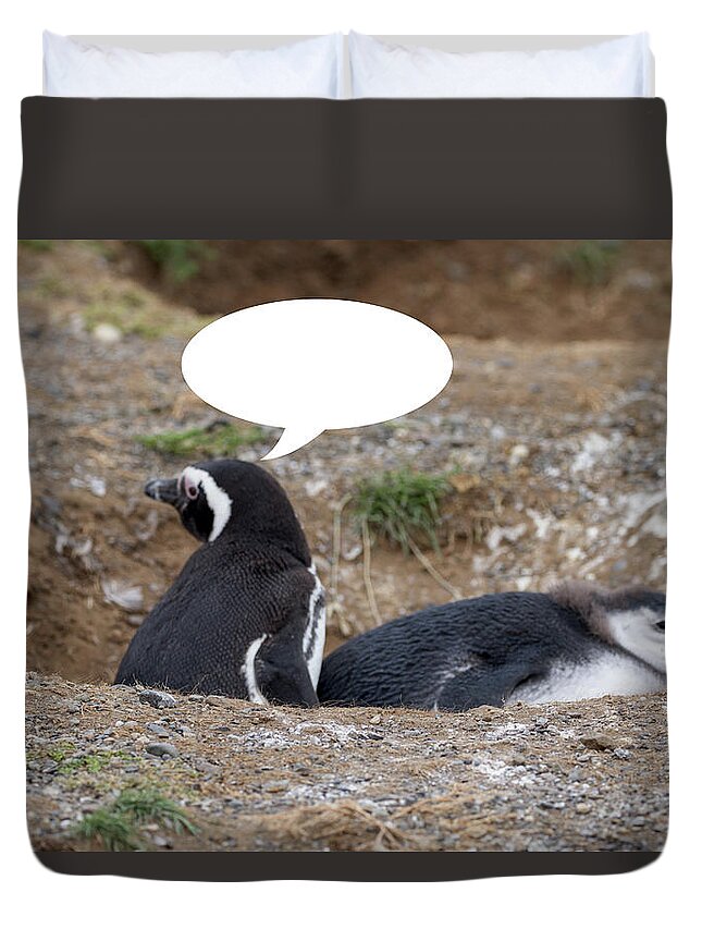 Penguins Duvet Cover featuring the photograph Penguins are Funny 2 by John Haldane