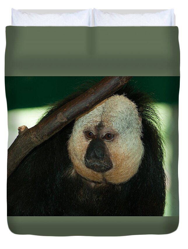 Animal Duvet Cover featuring the photograph Pensive by Craig Hosterman