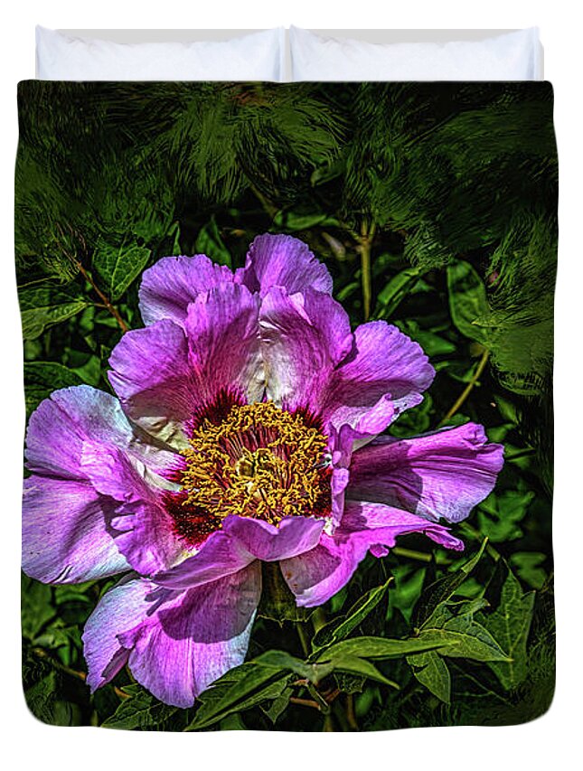 Peony Duvet Cover featuring the photograph Peony #h5 by Leif Sohlman