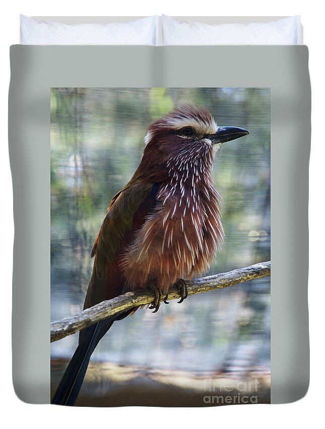 Bird Duvet Cover featuring the photograph Perched - 1 by Linda Shafer