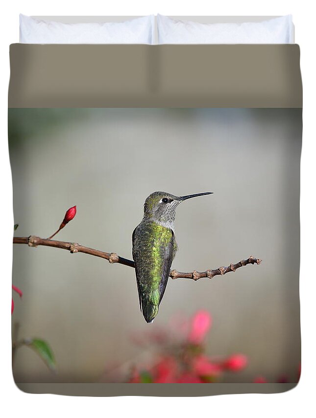 Hummingbird Duvet Cover featuring the photograph Perched by Carolyn Mickulas
