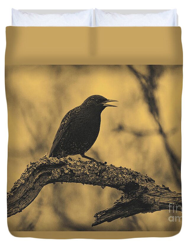 Bird Duvet Cover featuring the photograph Perched In The Old Oak by Joe Geraci