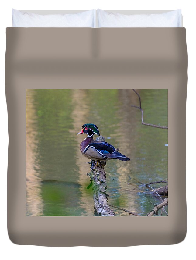 Wood Duck Duvet Cover featuring the photograph Perched Wood Duck by Jerry Cahill