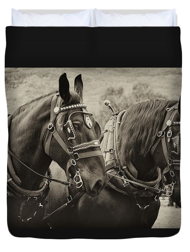 Percheron Duvet Cover featuring the photograph Percheron Black Beauties by Theresa Tahara