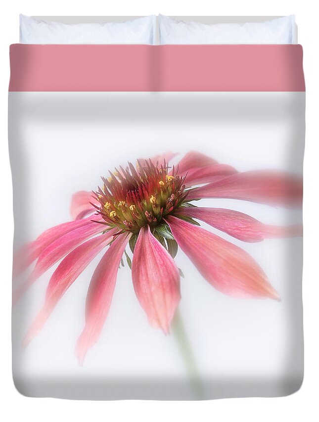 Bloom Duvet Cover featuring the photograph Perennial cone flower. by Usha Peddamatham