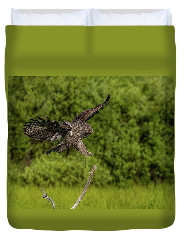 Great Grey Owl Duvet Cover featuring the photograph Perfect Form by Yeates Photography