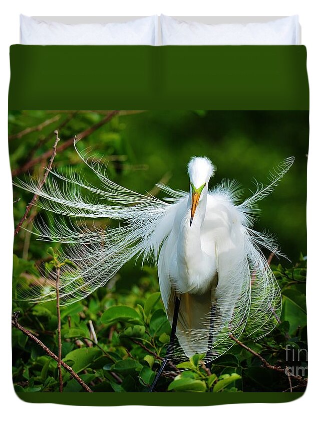 Great White Egret. Wading Bird Duvet Cover featuring the photograph Perfection by Julie Adair
