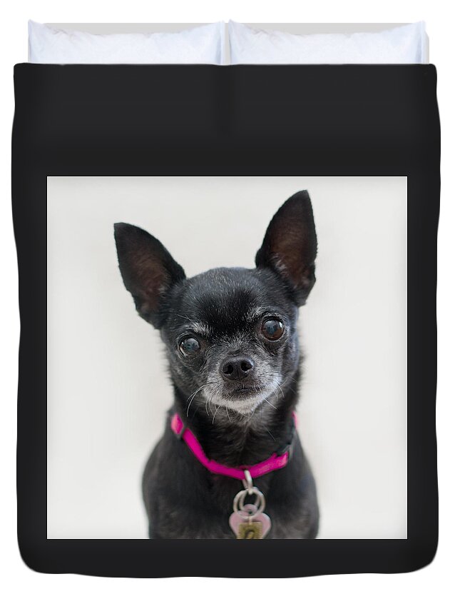 Pet Angel Photography Duvet Cover featuring the photograph Perlita 2 square by Irina ArchAngelSkaya