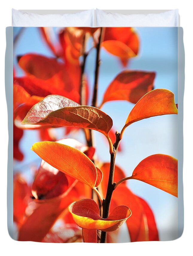 Glorious Duvet Cover featuring the photograph Persimmon Leaves by Tracey Lee Cassin