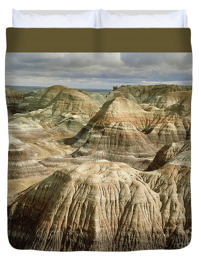 Blue Mesa Duvet Cover featuring the photograph Petrified Forest, Arizona by Willard Clay