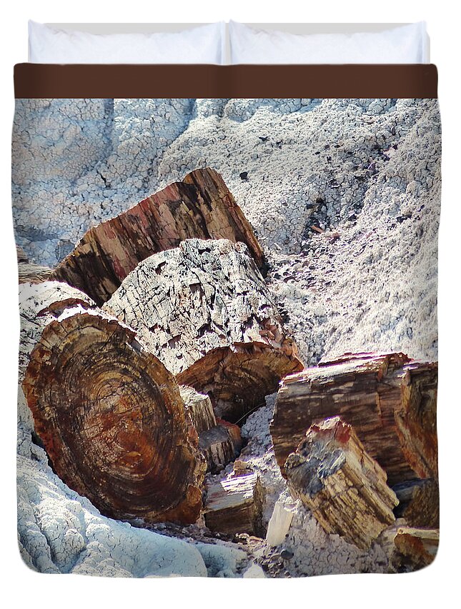 Petrified Duvet Cover featuring the photograph Petrified Wood - Square by Marcia Socolik