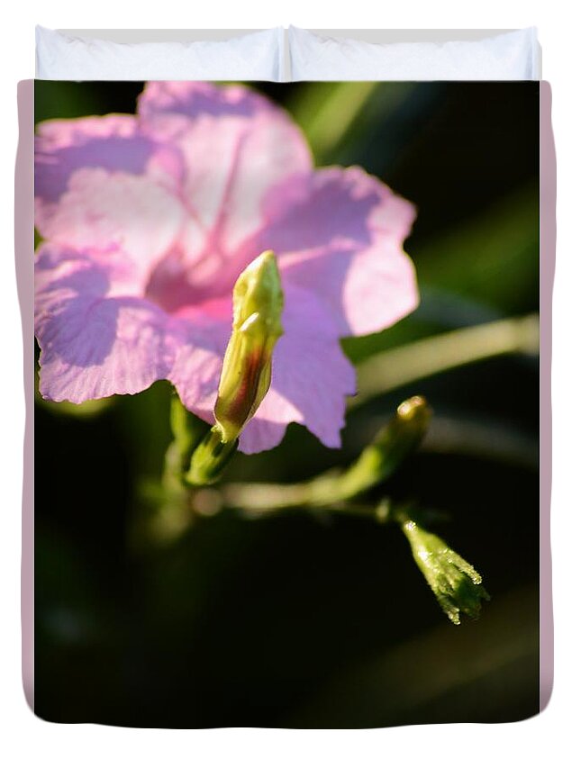 Petunia And Buds Duvet Cover featuring the photograph Petunia and Buds by Warren Thompson