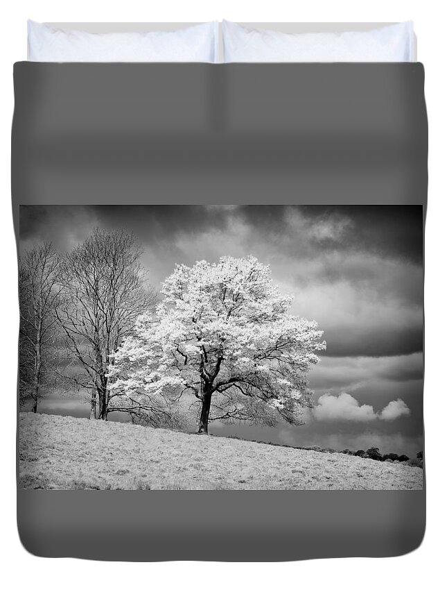 Tree Duvet Cover featuring the photograph Petworth Tree by Michael Hope