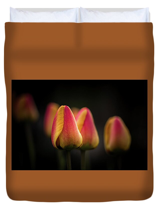 Background Duvet Cover featuring the photograph Phocus Pocus by Peter Scott