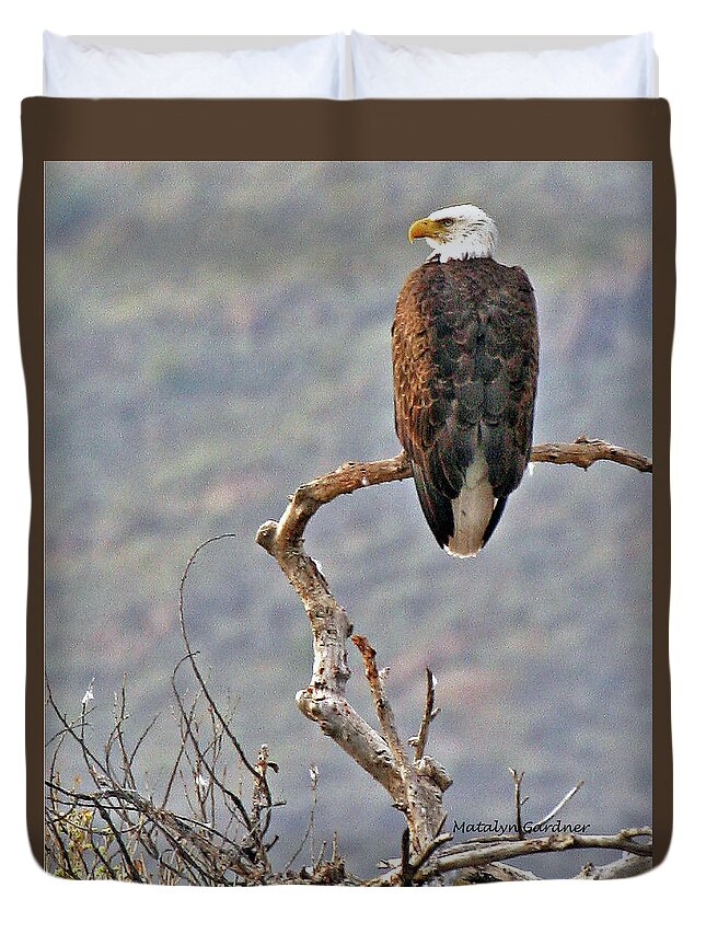Eagle Duvet Cover featuring the photograph Phoenix Eagle by Matalyn Gardner